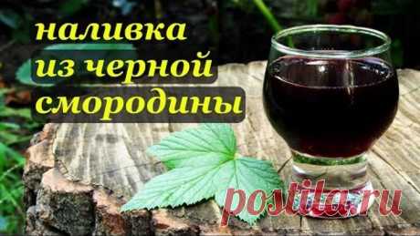 Наливка из черной смородины.
