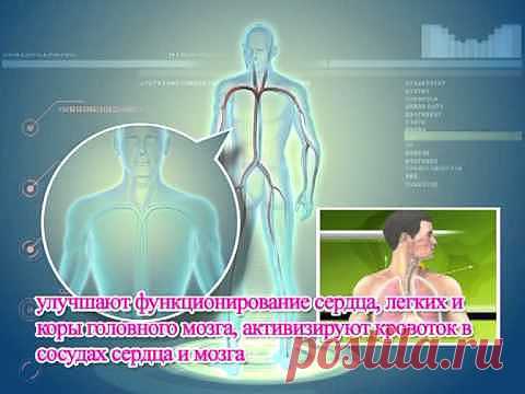 Карточка антистрессовая: продажа, цена в Донецке. приборы биорезонансной терапии домашние от "ФОП Ілюхіна" - 10312801
