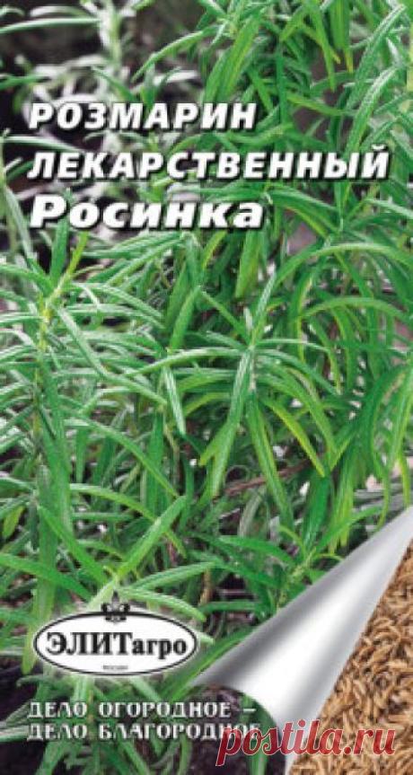 Семена. Розмарин лекарственный "Росинка" (вес: 0,01 г) Всхожесть: 86%.
Рекомендуется для использования в свежем и сушеном виде (листья и молодые побеги) в качестве приправы к блюдам, а также при консервировании и засолке. На юге - многолетнее растение. В северных районах возделывают семенами и вегетативно (черенками) на защищенных от ветра...