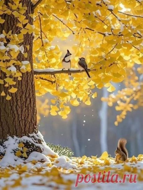 Разговор по душам