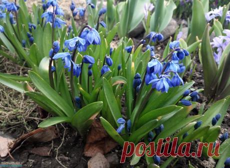 дачный сезон считаю открытым