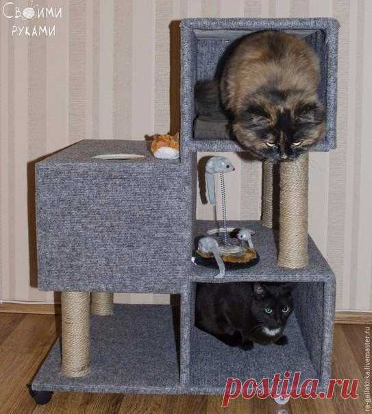 Домик для кота