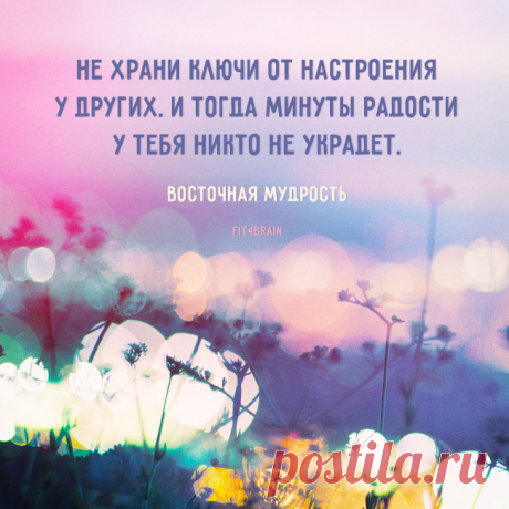 не храни