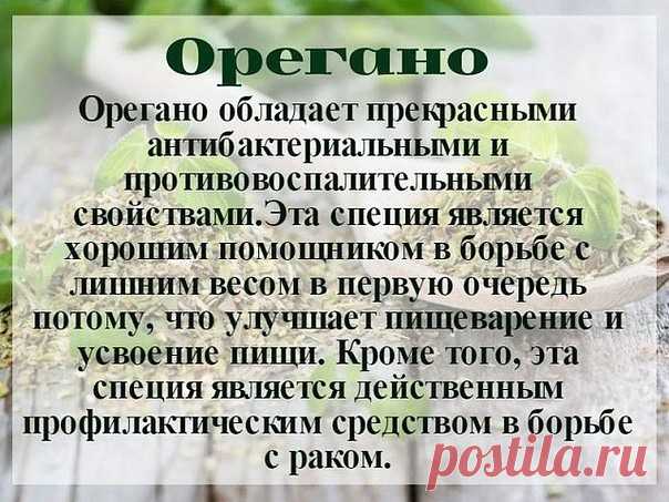 (52) Одноклассники