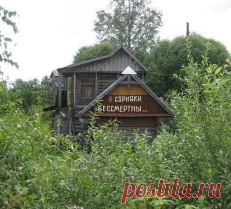 9 способов борьбы с сорняками - МирТесен