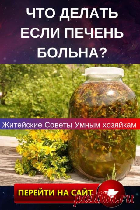 Любой внутренний орган незаменим для правильной работы организма. Однако если люди всегда помнят о том, как важно здоровое сердце или легкие, то вот об органах пищеварительной системы часто забывают. В нашей статье мы расскажем, почему и как нужно заботиться о нормальном состоянии одной из важнейших желез организма — печени.