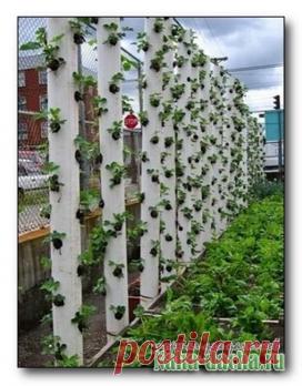 секретик вертикальной грядки | Наша дача