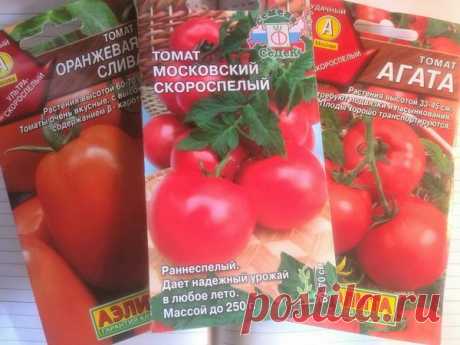 Когда сеять томаты на рассаду по лунному календарю в 2019 году | Дачные секреты от Виктории Радзевской | Яндекс Дзен