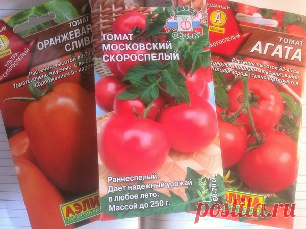 Когда сеять томаты на рассаду по лунному календарю в 2019 году | Дачные секреты от Виктории Радзевской | Яндекс Дзен