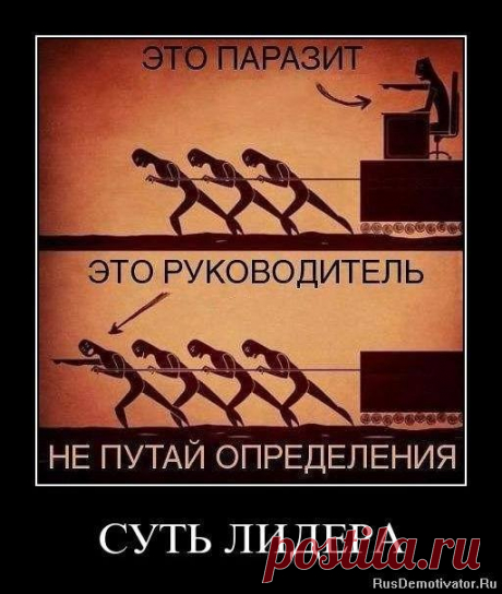 (16) Facebook