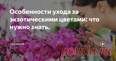 Особенности ухода за экзотическими цветами: что нужно знать. Цветы являются одним из самых популярных и любимых подарков, которые мы можем дарить друг другу в любой ситуации. Они не только украшают нашу жизнь, но и являются символом любви, уважения и благодарности. Как правило, мы выбираем для наших букетов и композиций наиболее распространенные цветы, такие как розы, тюльпаны, хризантемы и герберы. Однако, существуют также экзотические цветы, которые не только прекрасно с...