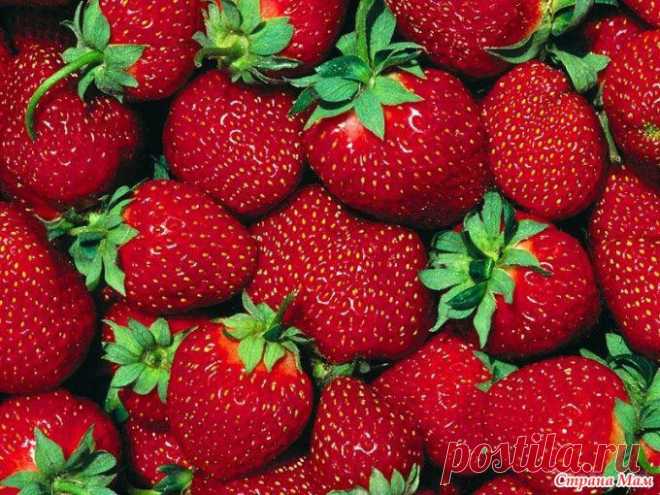 Секреты выращивания клубники..