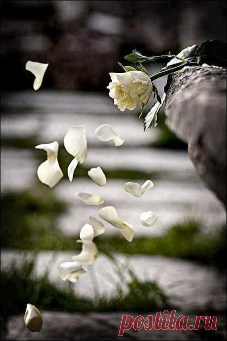 all the beauty things...