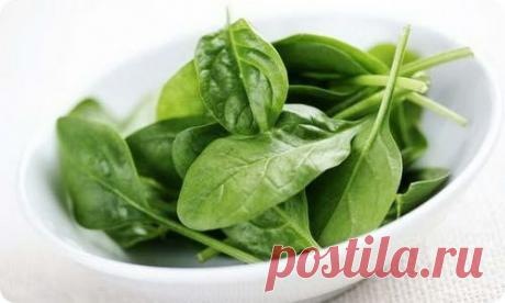 Полезные свойства шпината