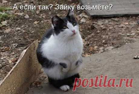 Попрошайка.