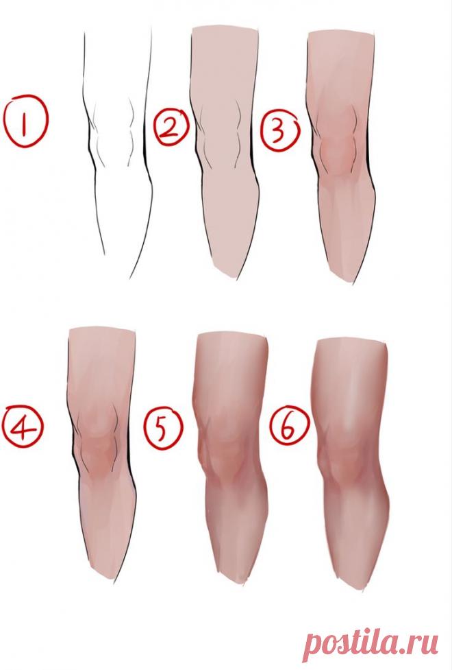 Рисуем колено. Поэтапно.