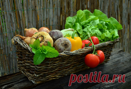 8 способов поднять иммунитет