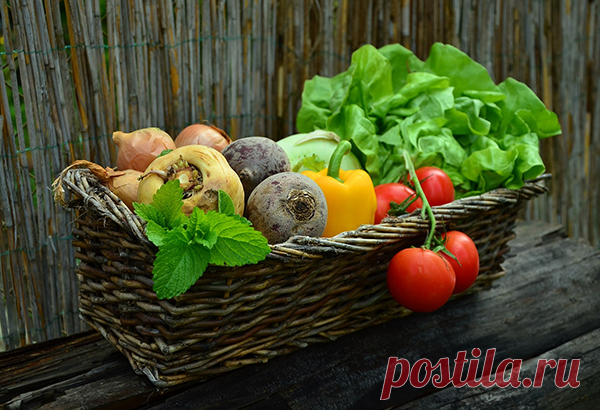 8 способов поднять иммунитет