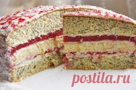 Новости тОРТ Орбита