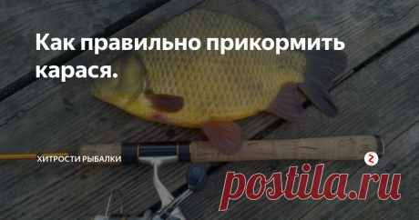 Как правильно прикормить карася.  Законы рыбной ловли диктуют нам главное и основное условие для успешного клева - прикормка. Именно, благодаря ей возможно поймать крупных рыбных особей. Например, ловля карася, такого простого с виду. Но, известно, что эта рыба страдает ленью, и поэтому без прикормки &quot;не двинется&quot; на крючок. Конечно, есть варианты ловли карася и без нее, но будет попадаться всякая мелочь. А любой рыбак, таже самый
