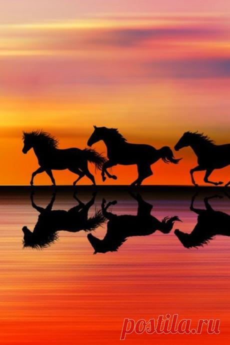 Don’t Seek Happiness. If you seek it, you won’t find it because seeking is the antithesis of happiness. - Eckhart Tolle | Pinterest: инструмент для поиска и хранения интересных идей
