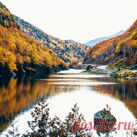 Осень пришла