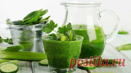 РЕЦЕПТЫ ПОЛЕЗНЫХ ЗЕЛЕНЫХ СМУЗИ ДЛЯ ОЧИЩЕНИЯ ОРГАНИЗМА .Вкусно и очень полезно! — Копилочка полезных советов