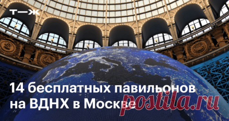 Какие павильоны на ВДНХ работают бесплатно Где увидеть гигантский муравейник и запустить виртуальный спутник