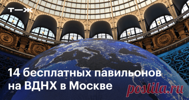 Какие павильоны на ВДНХ работают бесплатно Где увидеть гигантский муравейник и запустить виртуальный спутник