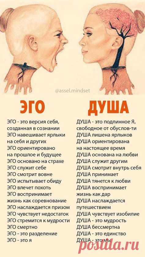 Изображение пина