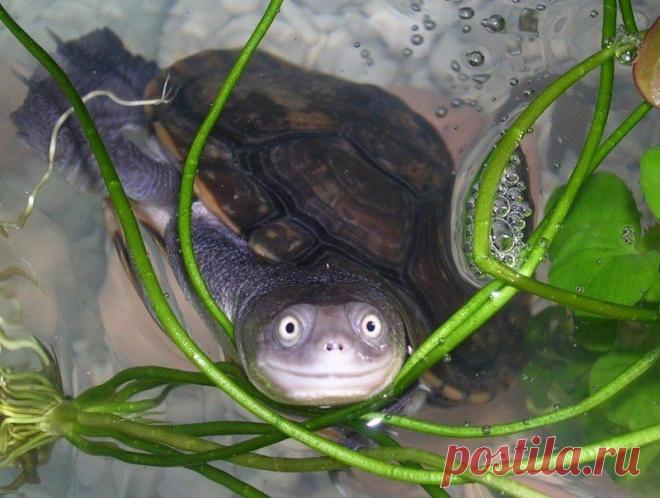 Больше, чем фото