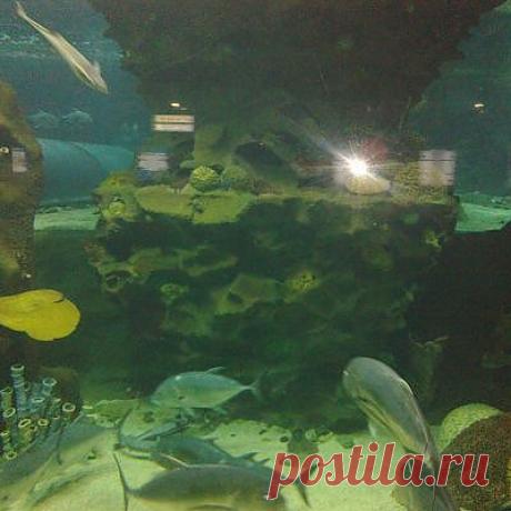 Как в ноябре устроить пляжный отдых
Если летом популярны Египет, Турция, Греция, то в ноябре не стоит планировать поездку в эти страны. Поскольку на этих пляжных курортах начинается период резкого изменения климата. В Турции температура спадает до 23.