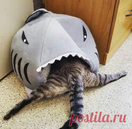 (3) Мой Мир@Mail.Ru