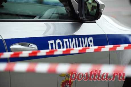 В российском регионе нашли обгоревшие останки человека в поле