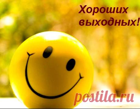 shafa ali – Google+