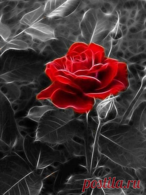 (29) Pinterest