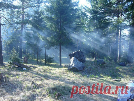 туманное утро