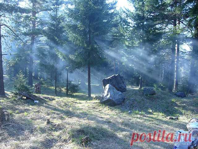 туманное утро