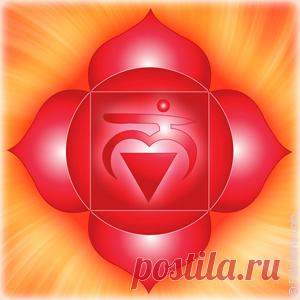 Чакра Муладхара (1 чакра): значение, за что отвечает, как открыть?