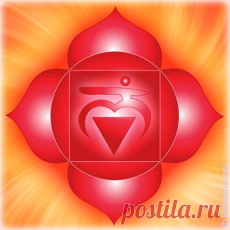 Чакра Муладхара (1 чакра): значение, за что отвечает, как открыть?