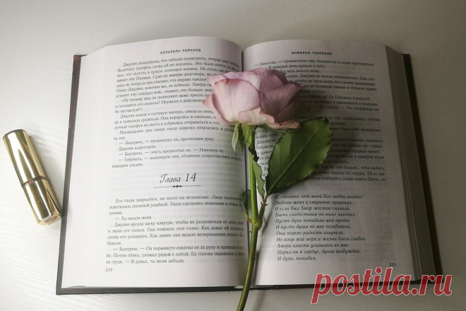 Книга не для всех. Инферно Габриеля | Журнал eksmo.ru | Яндекс Дзен