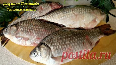Когда я чищу рыбу (карась, карп), ни одна чешуйка не разлетается по кухне (за минуту). Рецепты из рыбы | Людмила Плеханова Готовим вместе | Яндекс Дзен