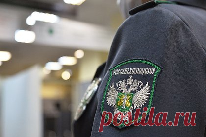 Зарабатывавших на экспорте в Китай россиян посадили
