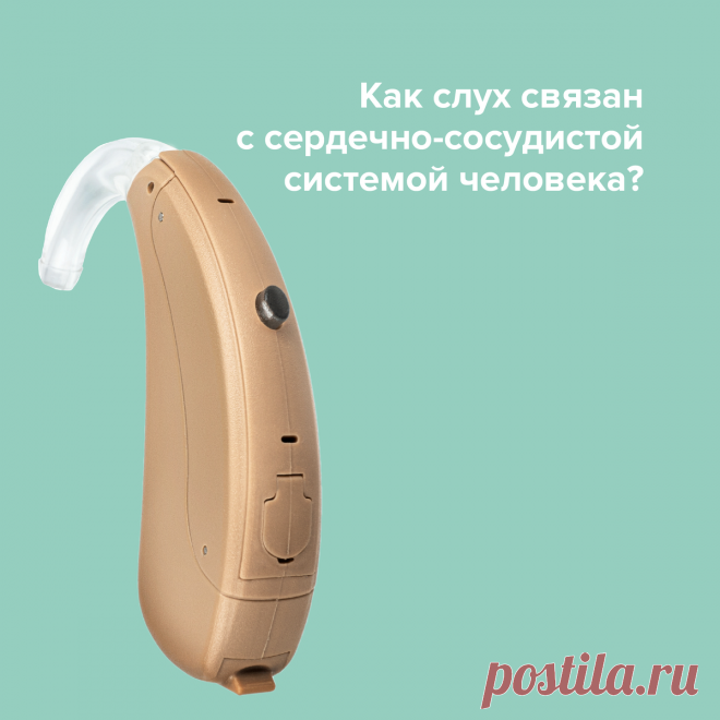 Как слух связан с сердечно-сосудистой системой человека? | Слуховые аппараты НОТА® | Дзен