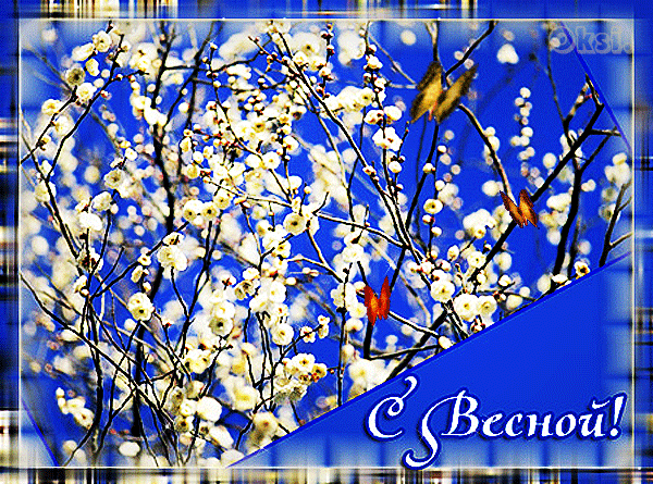 Архив открыток отправленных 2 Марта 2016 года. Добавили: Леонора Елена Пере, Юрий Соловьев, Алёна Лешкова, Александр , Алла Васильева, Володя Щиборовский, Nina Konisidi