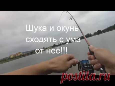 ПРОВОДКА С КОТОРОЙ ТЫ ВСЕГДА БУДЕШЬ С РЫБОЙ!!!Ловля окуня на спиннинг.Ультралайт.Микроджиг