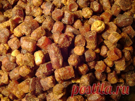 Перга – это уникальный продукт