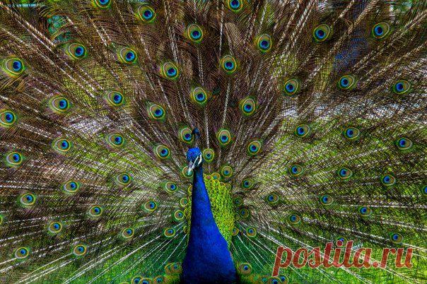 Наука и жизнь