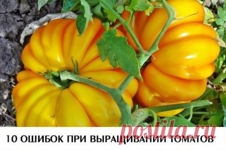 Календарь садовода