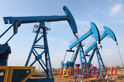 Решение Индии возобновить закупки российской нефти вопреки угрозам США объяснили